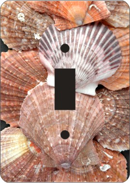 Sea Shells Switch Plate